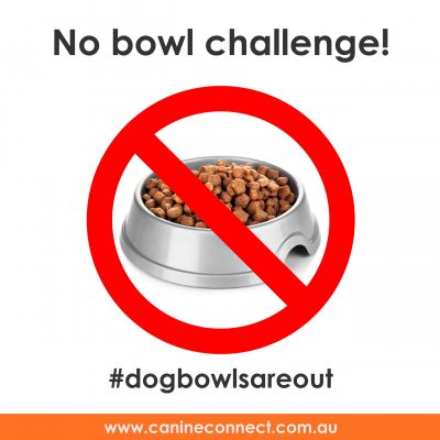 Dog bowls are out!